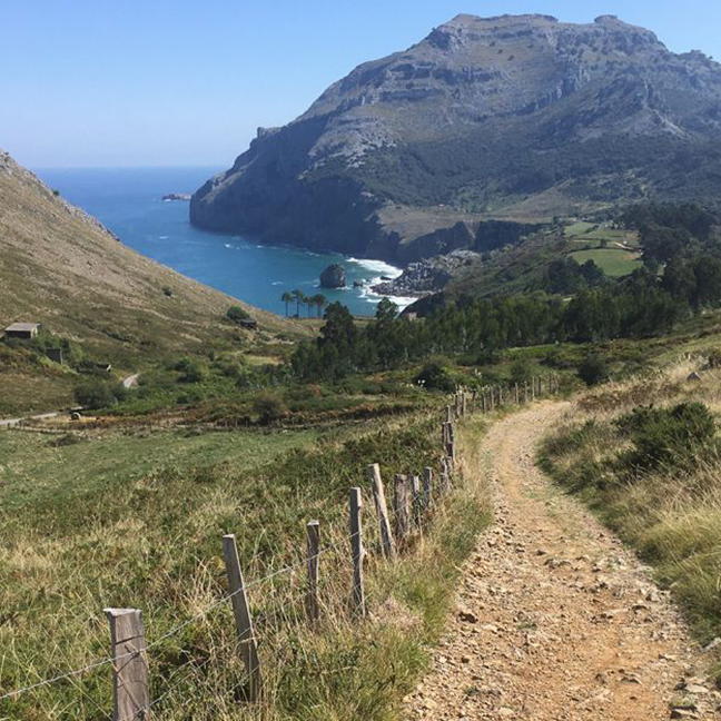 Reflections on the Camino 
